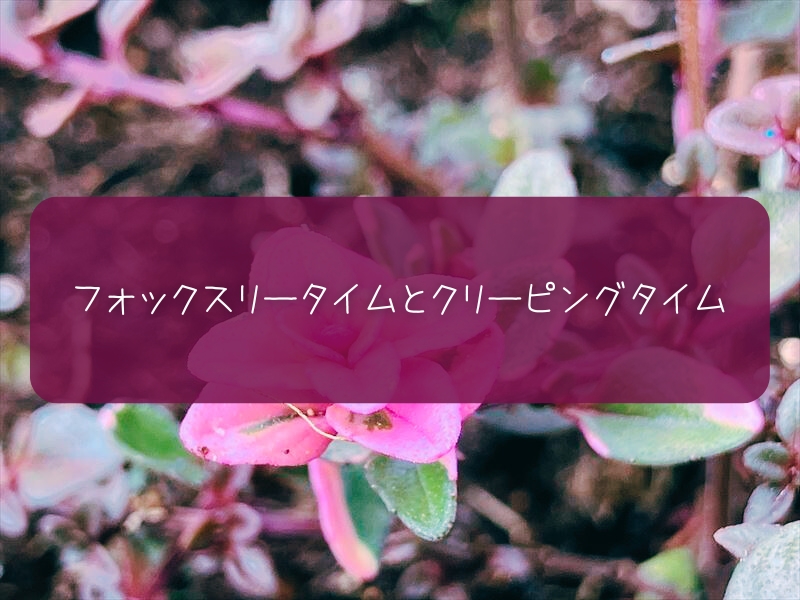 フォックスリータイムとクリーピングタイム